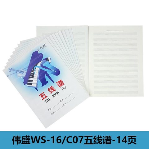 伟盛WS-16/C07五线谱-14页