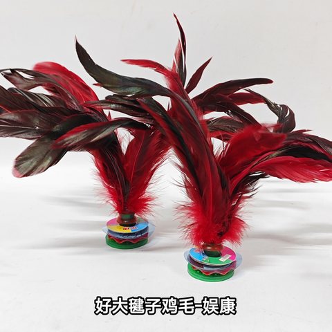 好大鸡毛毽子