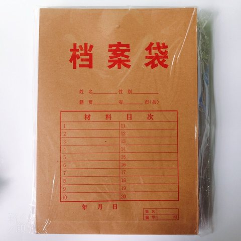 盛欣新佳盛HB350g牛皮档案袋-4cm/10个装