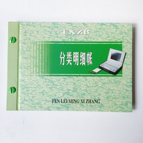 扶西江分类明细帐本-彩面