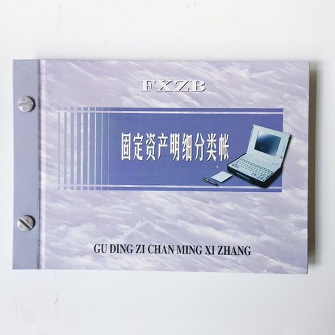 扶西江固定资产明细分类帐本-彩面