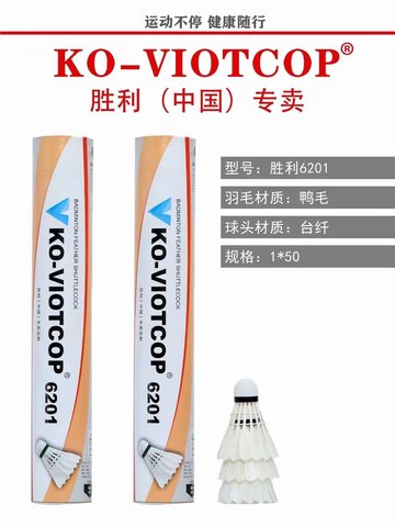 胜利6201羽毛球