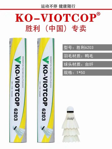 胜利6203羽毛球