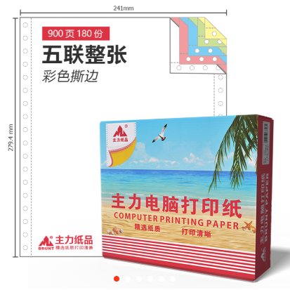 主力2031打印纸-五层一等份（原3501）