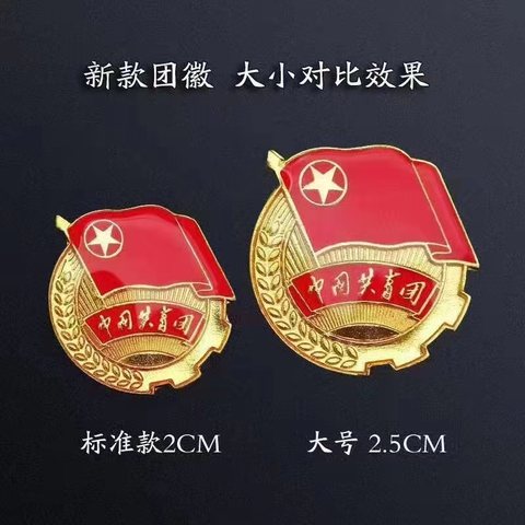 中国共青团徽章-2cm小团徽标准款/磁扣