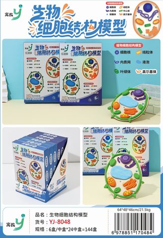寓教YJ-8048生物细胞结构模型(不退货)