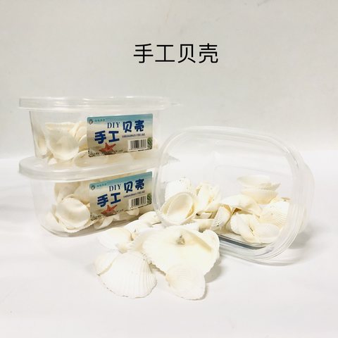 手工贝壳/盒装单款贝壳