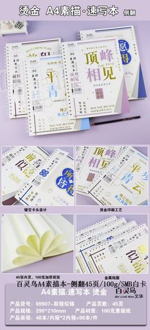 百灵鸟A4素描本-侧翻45页/100g/SMB白卡