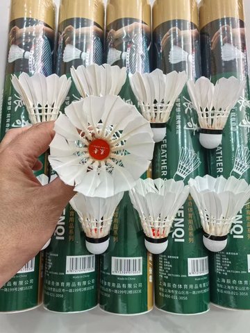 晨奇501羽毛球-12只