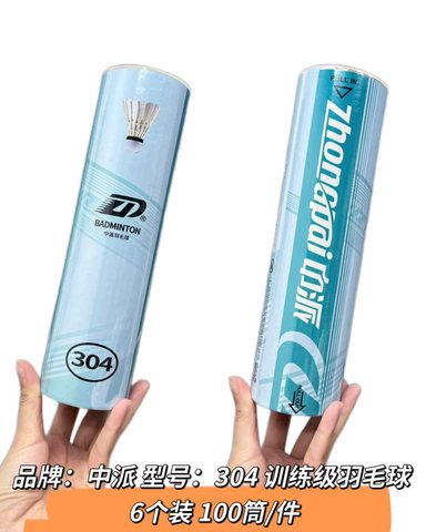 中派ZP-304羽毛球-6个/训练