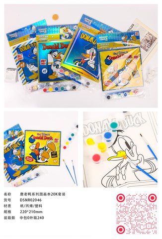 联众DSNR02046图画本20K套装