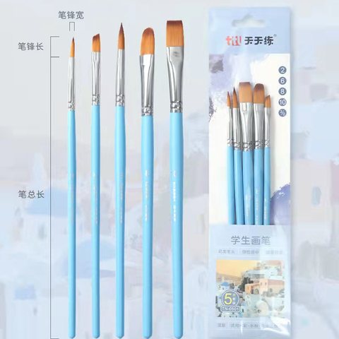 天天练TN-0501学生画笔套装-5支