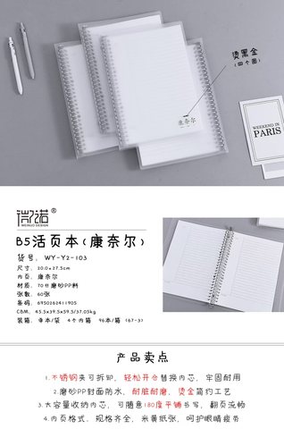 微诺WY-Y2-103活页本-康奈尔/60页/B5