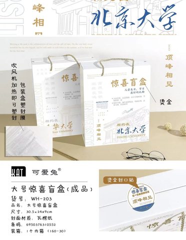 可爱兔WH-203大号惊喜盲盒