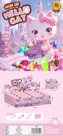 优信HD170考古-HELLO CAT